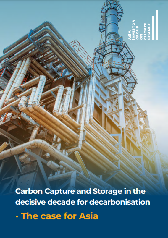 Report cover Carbon Capture & Storage